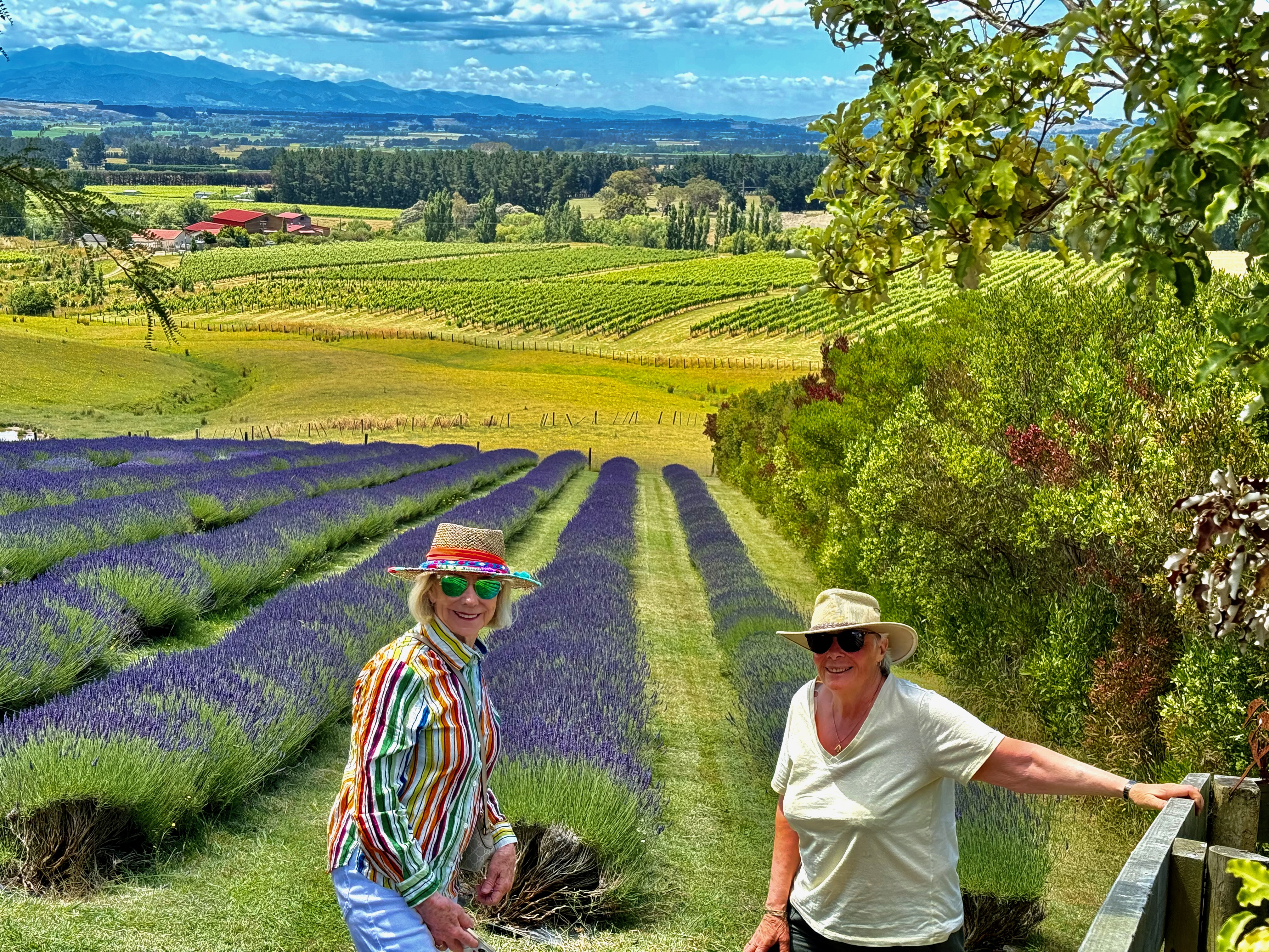 Greytown New Zealand